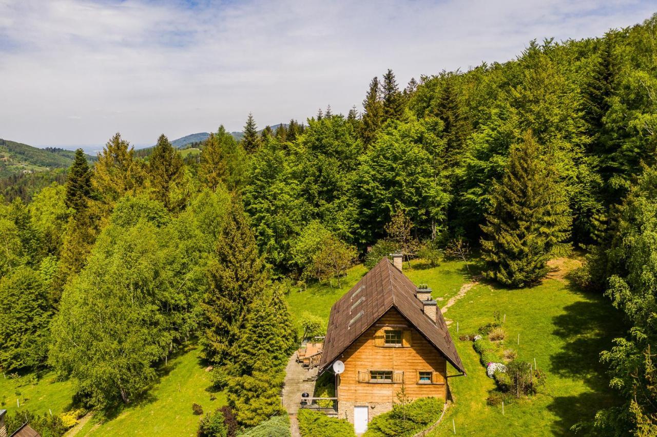 Chata Jarzebata Wisła Exteriör bild