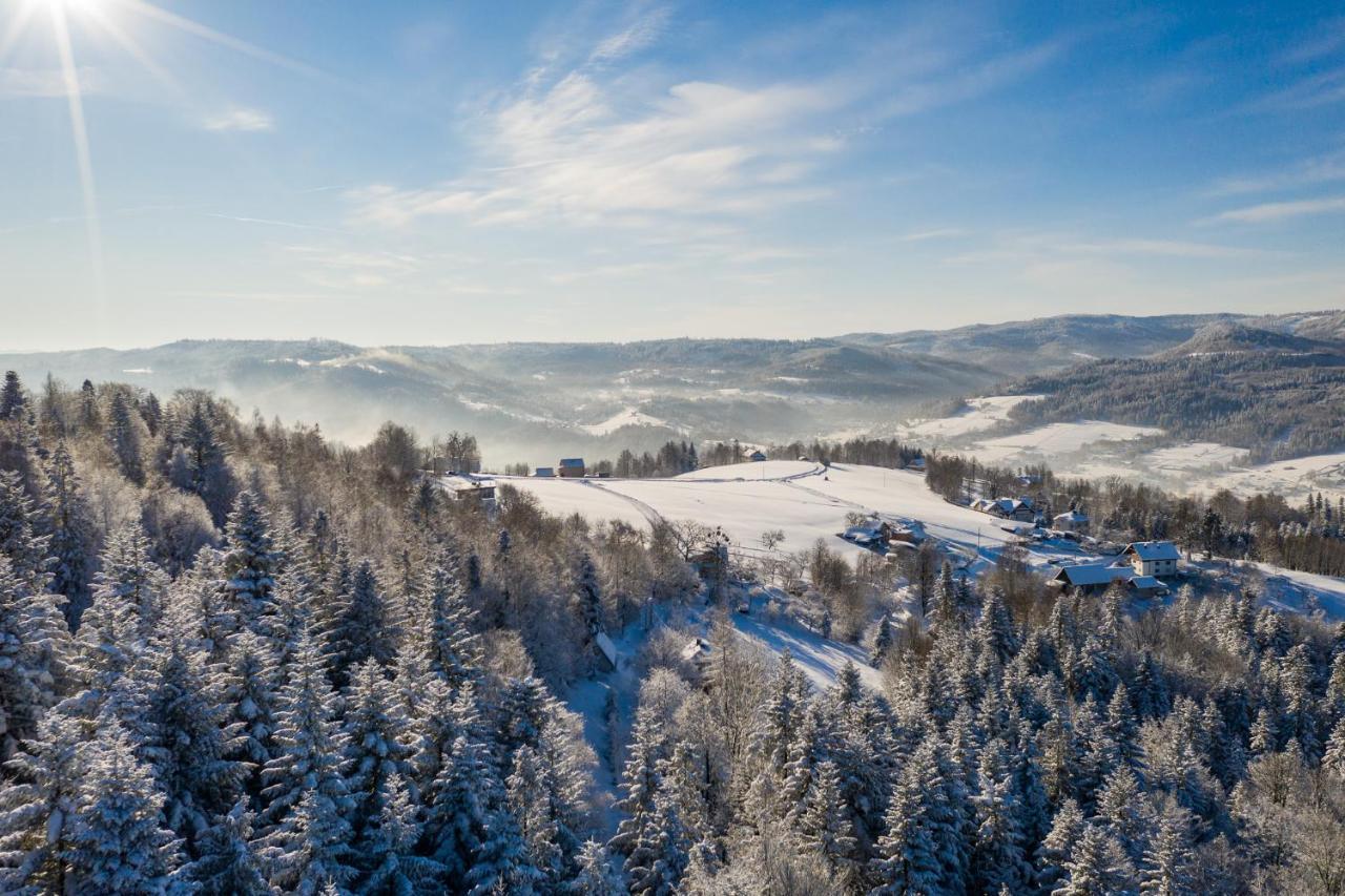 Chata Jarzebata Wisła Exteriör bild