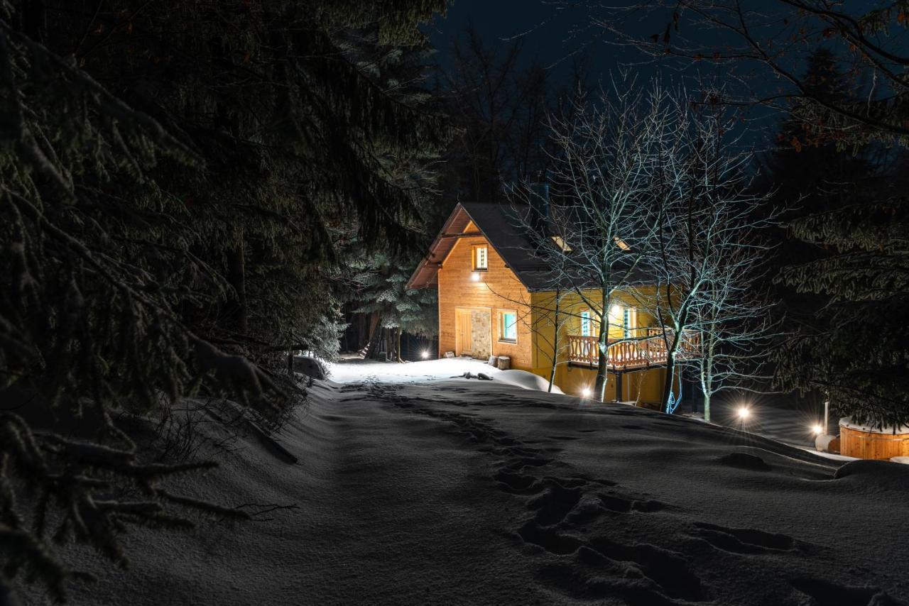 Chata Jarzebata Wisła Exteriör bild